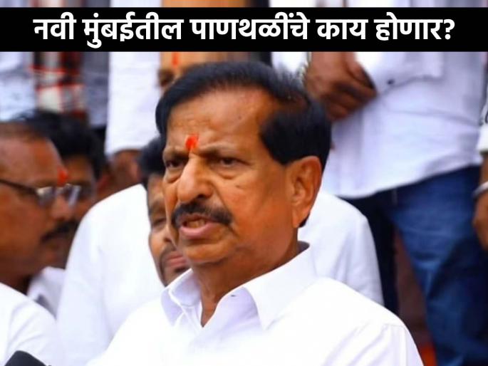 Navi Mumbai Diary Special Article Will Forest Minister Ganesh Naik do justice to wetlands? | नवी मुंबई डायरी | विशेष लेख : वनमंत्री गणेश नाईक पाणथळींना न्याय देतील का?