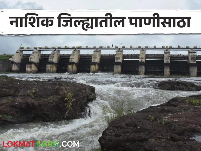 Latest News Nashik Dam Storage How much water storage is available in Nashik's Gangapur Dam Read in detail  | Nashik Dam Storage : नाशिकच्या गंगापूर धरणात किती पाणीसाठा उपलब्ध? वाचा सविस्तर  Latest News Nashik Dam Storage How much water storage is available in Nashik's Gangapur Dam Read in detail  | Nashik Dam Storage : नाशिकच्या गंगापूर धरणात किती पाणीसाठा उपलब्ध? वाचा सविस्तर