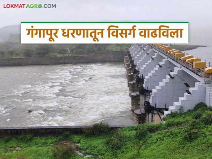 Latest News Discharge from Gangapur Dam increased, alert issued to citizens by administration | गंगापूर धरणातून विसर्ग वाढविला, नदीकाठच्या नागरिकांना सतर्कतेचा इशारा Latest News Discharge from Gangapur Dam increased, alert issued to citizens by administration | गंगापूर धरणातून विसर्ग वाढविला, नदीकाठच्या नागरिकांना सतर्कतेचा इशारा