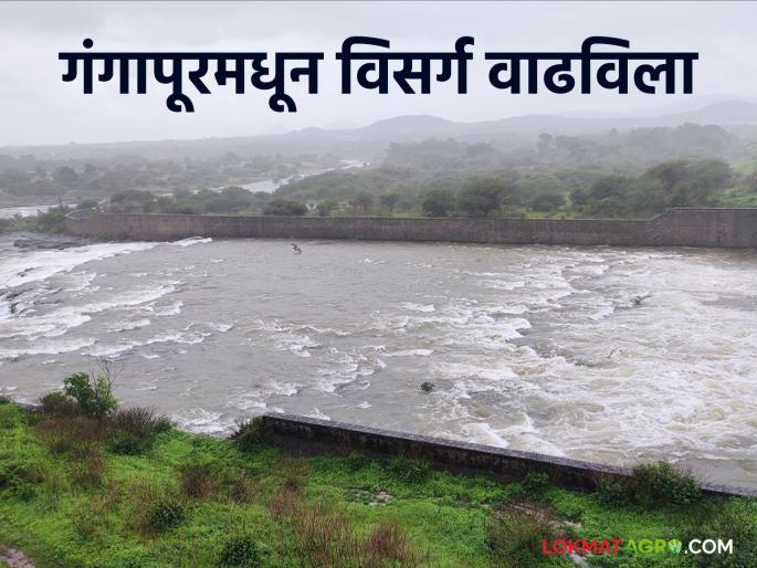Latest News Heavy rain continues in Nashik, release increased from Gangapur dam, Godavari floods | नाशिकमध्ये पावसाचा जोर कायम, गंगापूर धरणातून विसर्ग वाढविला, गोदावरीला पूर 