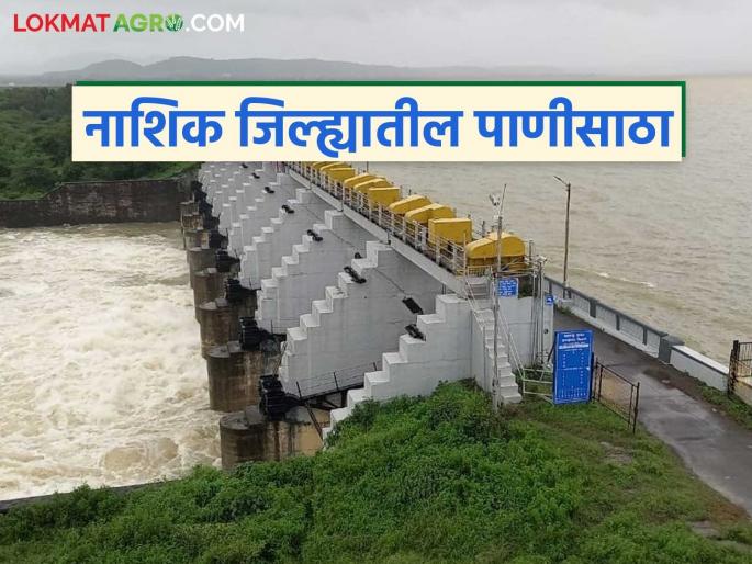 Latest news Girna, Darna dam is100 percent full,see Gangapur dam water level todays read in detail | गिरणासह दारणा धरणही 100 टक्के भरले, गंगापूर धरणांत किती पाणी, वाचा सविस्तर  Latest news Girna, Darna dam is100 percent full,see Gangapur dam water level todays read in detail | गिरणासह दारणा धरणही 100 टक्के भरले, गंगापूर धरणांत किती पाणी, वाचा सविस्तर