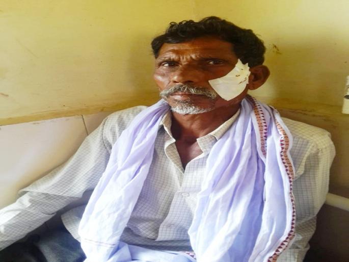 Robbery at farm at Gangakhed; Three injured in robbery of thieves | गंगाखेड येथे शेत आखाड्यावर दरोडा; चोरट्यांच्या मारहाणीत तिघे जखमी Robbery at farm at Gangakhed; Three injured in robbery of thieves | गंगाखेड येथे शेत आखाड्यावर दरोडा; चोरट्यांच्या मारहाणीत तिघे जखमी