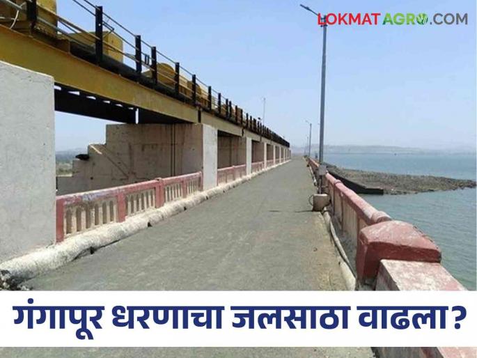 Latest News Know in detail how much water came in Gangapur, Girna, Bhavli Dam | Gangapur Dam : गंगापूर, गिरणा, भावली धरणात किती पाणी आलं, जाणून घ्या सविस्तर