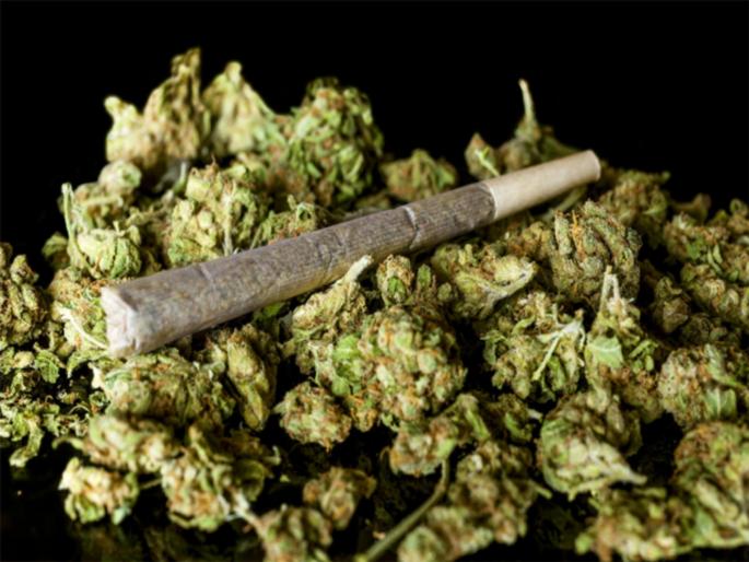 bhosari police seized 100 kg ganja | भोसरी पोलिसांकडून १०० किलो गांजा जप्त bhosari police seized 100 kg ganja | भोसरी पोलिसांकडून १०० किलो गांजा जप्त
