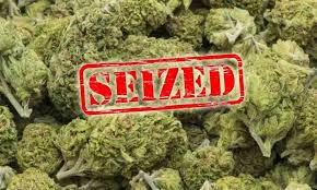 8 lakh ganja seized in Pune; women and one person arrested | पुण्यात विक्रीसाठी आणलेला तब्बल ८ लाखांचा गांजा जप्त; सूत्रधार महिलेसह पंटर गजाआड