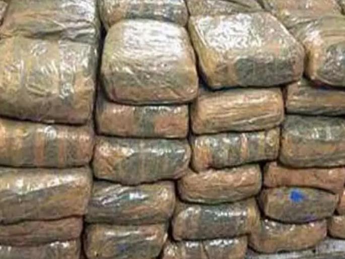Ganja smuggling from Odisha to Maharashtra via Telangana; Inter-state gang of smugglers in Beed, goods worth half a crore seized | बीडची गांजा तस्करीतील 'पुष्पा' गँग; ओडिशातून ३ हजाराने घेऊन महाराष्ट्रात १५ हजाराने विक्री