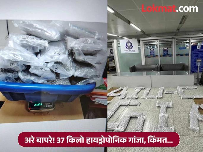 'Those' duo brought hydroponic marijuana worth crores of rupees from Bangkok; As soon as they landed at the airport... | 'त्या' दोघी बँकॉकवरून घेऊन आल्या कोट्यवधी रुपयांचा हायड्रोपोनिक गांजा; विमानतळावर उतरताच... 'Those' duo brought hydroponic marijuana worth crores of rupees from Bangkok; As soon as they landed at the airport... | 'त्या' दोघी बँकॉकवरून घेऊन आल्या कोट्यवधी रुपयांचा हायड्रोपोनिक गांजा; विमानतळावर उतरताच...