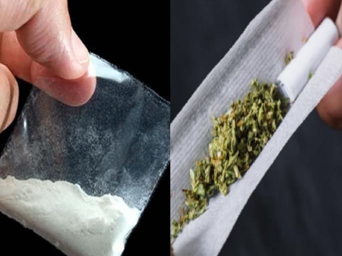 Ganja with brown heroin found in possession of youth in Ratnagiri | रत्नागिरीत तरुणाकडे सापडला ब्राऊन हिराेईनसह गांजा Ganja with brown heroin found in possession of youth in Ratnagiri | रत्नागिरीत तरुणाकडे सापडला ब्राऊन हिराेईनसह गांजा