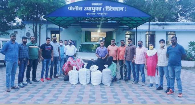 11 lakh cannabis seized in Nagpur: Five members of Jalgaon gang arrested | नागपुरात ११ लाखाचा गांजा जप्त : जळगाव टोळीच्या पाच जणांना अटक 11 lakh cannabis seized in Nagpur: Five members of Jalgaon gang arrested | नागपुरात ११ लाखाचा गांजा जप्त : जळगाव टोळीच्या पाच जणांना अटक