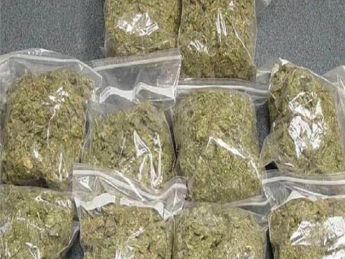 Oh my! 12 kg of ganja, gutkha worth Rs 3.5 lakh seized; Where did all this come from? | बापरे! १२ किलो गांजा, साडेतीन लाखांचा गुटखा जप्त; एवढं सगळं आलं कुठून?