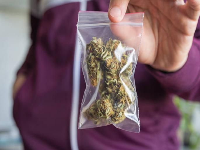 They left on a bike carrying a nylon bag Police caught them by laying a trap, seized marijuana worth 4 lakhs | दुचाकीवरून नायलाॅनचे पोते घेऊन निघाले; सापळा लावून पोलिसांनी पकडले, ४ लाखांचा गांजा जप्त They left on a bike carrying a nylon bag Police caught them by laying a trap, seized marijuana worth 4 lakhs | दुचाकीवरून नायलाॅनचे पोते घेऊन निघाले; सापळा लावून पोलिसांनी पकडले, ४ लाखांचा गांजा जप्त