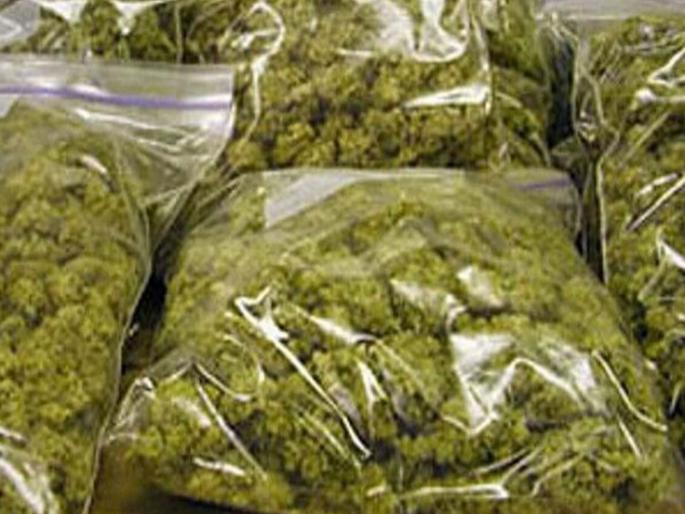 Oh my! 28 kg of ganja worth Rs 17 lakh seized; Action taken in Mundhwa area | बापरे! तब्बल १७ लाखांचा २८ किलो गांजा जप्त; मुंढवा परिसरातील कारवाई Oh my! 28 kg of ganja worth Rs 17 lakh seized; Action taken in Mundhwa area | बापरे! तब्बल १७ लाखांचा २८ किलो गांजा जप्त; मुंढवा परिसरातील कारवाई