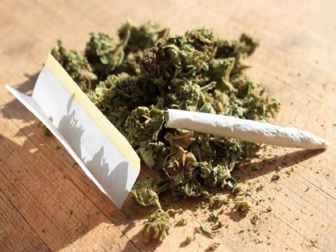 10 kgs of ganja seized from Samta Express toilet at nagpur railway station | समता एक्स्प्रेसच्या बाथरुममध्ये पकडला १० किलो गांजा 10 kgs of ganja seized from Samta Express toilet at nagpur railway station | समता एक्स्प्रेसच्या बाथरुममध्ये पकडला १० किलो गांजा