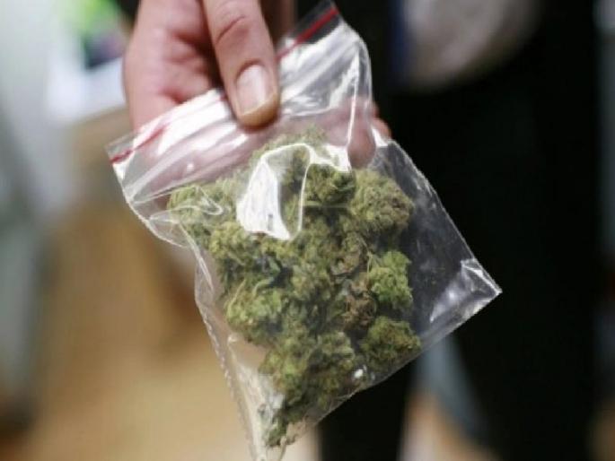 Mumbai, Delhi in hemp, In the top 10 cities of the world | दिल्ली, मुंबईला गांजाचा विळखा!;जगातील ‘टॉप टेन’ शहरांत समावेश