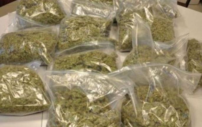 Delhi taxi driver found in cannabis smuggling: Goods worth Rs 31 lakh seized | गांजा तस्करीत सापडला दिल्लीचा टॅक्सीचालक :  ३१ लाखांचा माल जप्त  Delhi taxi driver found in cannabis smuggling: Goods worth Rs 31 lakh seized | गांजा तस्करीत सापडला दिल्लीचा टॅक्सीचालक :  ३१ लाखांचा माल जप्त