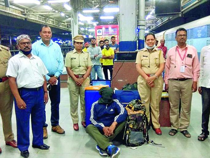 man held in nagpur for trafficking ganja worth 4.25 lakh | गोंडवाना एक्सप्रेसमधून गांजाची तस्करी, आरोपी अटकेत; ४.२५ लाखांचा गांजा हस्तगत man held in nagpur for trafficking ganja worth 4.25 lakh | गोंडवाना एक्सप्रेसमधून गांजाची तस्करी, आरोपी अटकेत; ४.२५ लाखांचा गांजा हस्तगत