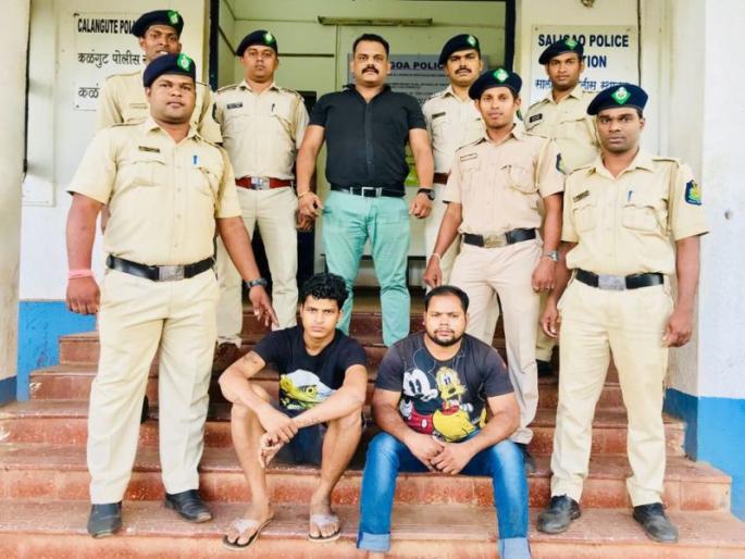 Police action on the cultivation of hemp in the confined area like Kalangut | कळंगुटसारख्या गजबजलेल्या परिसरात गांजाच्या शेतीवर पोलिसांची कारवाई