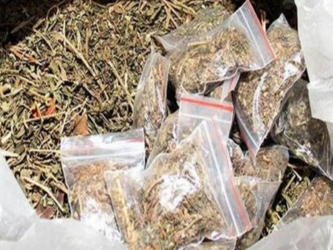 9 lakh of Ganja seized in Bhadgaon taluka | भडगाव तालुक्यात ९ लाखांचा गांजा जप्त