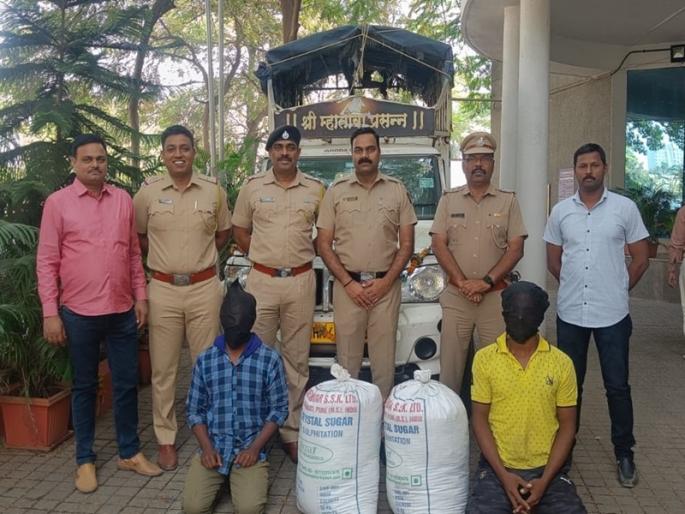 transportation of hemp as vegetable waste; Police seized 31 kg of ganja | भाजीपाल्याचा कचरा म्हणून गांजाची वाहतूक; पोलिसांनी पकडला ३१ किलो गांजा transportation of hemp as vegetable waste; Police seized 31 kg of ganja | भाजीपाल्याचा कचरा म्हणून गांजाची वाहतूक; पोलिसांनी पकडला ३१ किलो गांजा
