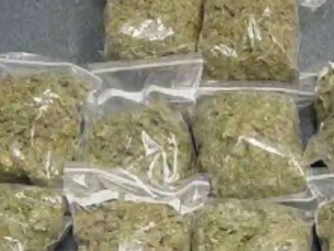 Marijuana found in student's room in 'TIS'; Removed from hostel | ‘टिस’मध्ये विद्यार्थिनीच्या खोलीत सापडला गांजा; हॉस्टेलमधून काढले Marijuana found in student's room in 'TIS'; Removed from hostel | ‘टिस’मध्ये विद्यार्थिनीच्या खोलीत सापडला गांजा; हॉस्टेलमधून काढले