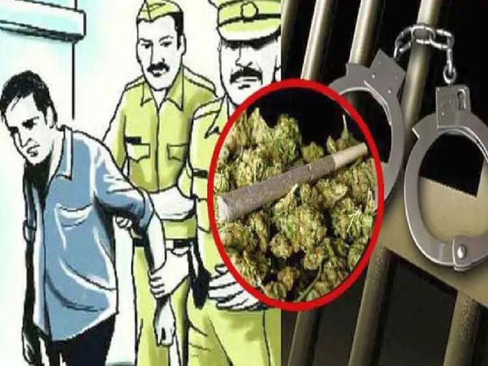 Two kilos of ganja seized from Lalkhadi Amravati, one accused arrested | लालखडीतून दोन किलो गांजा जप्त; एका आरोपीस अटक Two kilos of ganja seized from Lalkhadi Amravati, one accused arrested | लालखडीतून दोन किलो गांजा जप्त; एका आरोपीस अटक