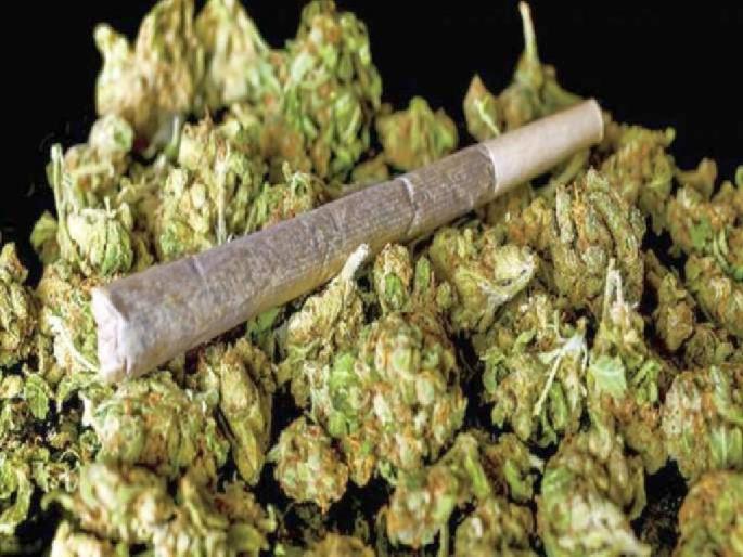 Two bags of ganja seized at Gothangaon crossing, attempted smuggling to Nagpur from Kurkheda | Gadchiroli | गोठणगाव नाक्यावर दोन पाेती गांजा जप्त, दाेघांना केली अटक