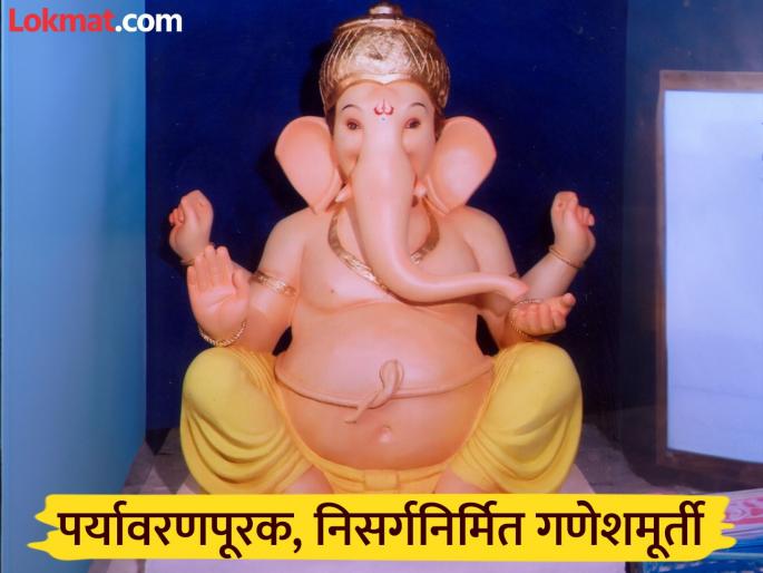 Bappa made from fallen leaves, flowers, vines, and bark of trees; Environmental awareness campaign by grain traders in Kolhapur | झाडांची गळालेली पाने फुले, वेली, सालींनी बनला बाप्पा; कोल्हापुरातील धान्य व्यापारी मंडळाचा पर्यावरणाचा जागर