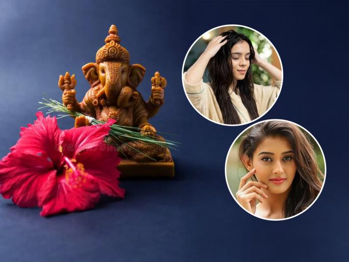 Bappa's favorite hibiscus flower is a boon for health!! Very beneficial for skin, hair and health too | बाप्पाच्या आवडीचे जास्वंदाचे फुल म्हणजे आरोग्यासाठी वरदानच !! त्वचा-केस आणि तब्येतीसाठीही फार गुणकारी