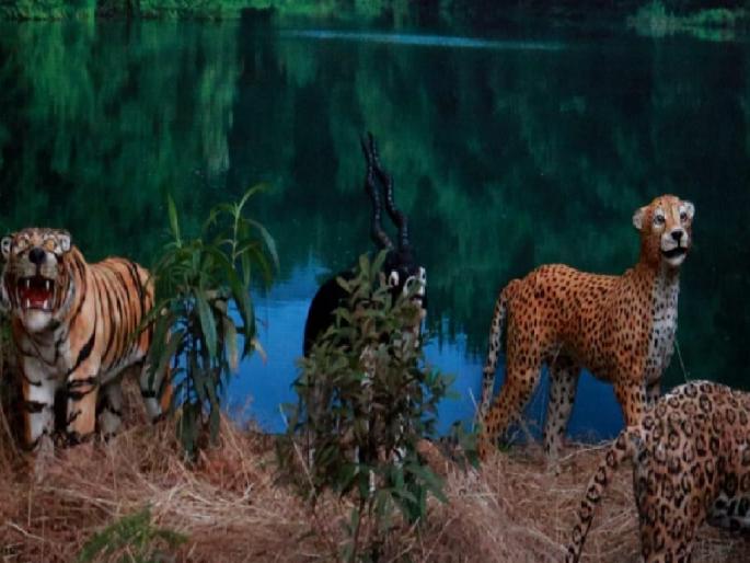 Conservation as important as voting, The scene at Ganpatipule polling station is a special attraction | LokSabha2024: गणपतीपुळ्यातील मतदान केंद्रावर निसर्ग रक्षणाचा देखावा Conservation as important as voting, The scene at Ganpatipule polling station is a special attraction | LokSabha2024: गणपतीपुळ्यातील मतदान केंद्रावर निसर्ग रक्षणाचा देखावा