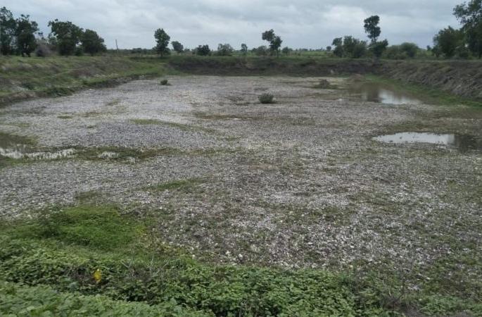 Water scarcity ; lake, well dry in Washim district | पाणीटंचाई कायमच; गावतलाव कोरडे: विहिरी, कूपनलिकांतही अल्पसाठा Water scarcity ; lake, well dry in Washim district | पाणीटंचाई कायमच; गावतलाव कोरडे: विहिरी, कूपनलिकांतही अल्पसाठा