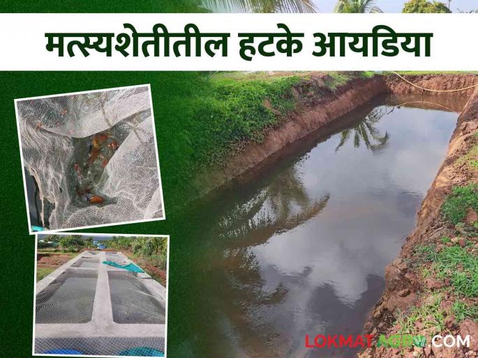 Young Farmer Success Story: Leaving the job abroad, these two friends started profitable farming | Young Farmer Success Story परदेशातील नोकरी सोडून या दोन मित्रांनी केली फायद्याची शेती