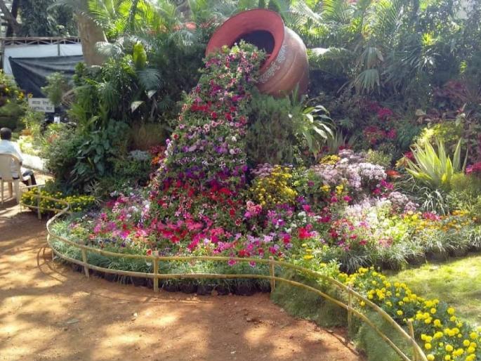 Flower elephants, tigers, zebras will be seen in the queen's garden; | राणीच्या बागेत पहायला मिळणार फुलांचे हत्ती, वाघ,झेब्रा ; अॅनिमल किंग्डम संकल्पना