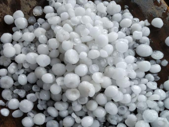 Heavy rain in the new Gondiya area | गोंदियातल्या नवेझरी परिसरात गारांचा पाऊस Heavy rain in the new Gondiya area | गोंदियातल्या नवेझरी परिसरात गारांचा पाऊस