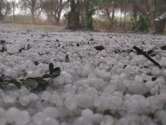 Untimely collision with hail in thunderstorms in the district! | जिल्ह्यात ढगांच्या गडगडाटात गारांसह अवकाळी दणका ! Untimely collision with hail in thunderstorms in the district! | जिल्ह्यात ढगांच्या गडगडाटात गारांसह अवकाळी दणका !
