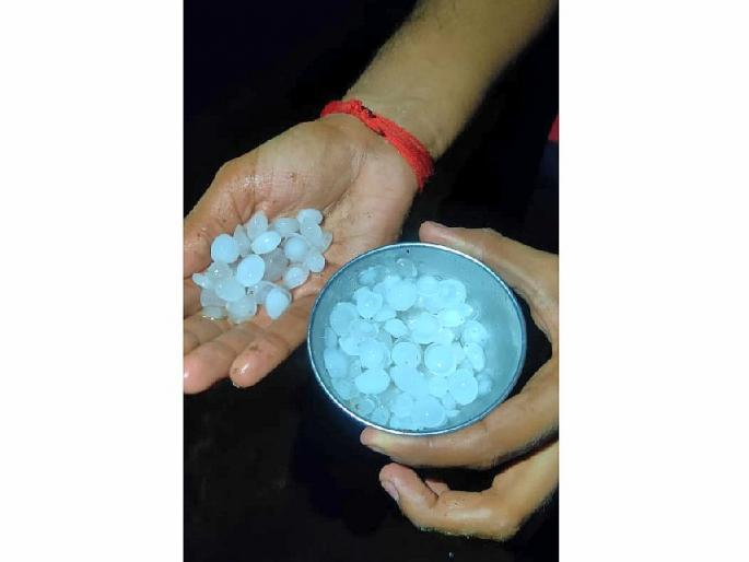 untimely rain with hailstorm damage crops in Bhandara district | भंडाऱ्यात वादळी पावसासह गारपिटीचा तडाखा; तीस घरांचे अंशत: नुकसान untimely rain with hailstorm damage crops in Bhandara district | भंडाऱ्यात वादळी पावसासह गारपिटीचा तडाखा; तीस घरांचे अंशत: नुकसान