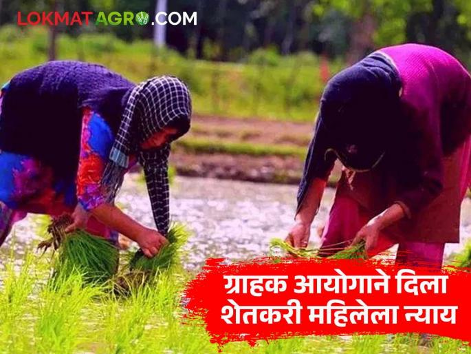 latest news Gopinath Munde Insurance Scheme : Consumer Commission gives justice to farmer woman; Read the case in detail | Gopinath Munde Insurance Scheme : ग्राहक आयोगाने दिला शेतकरी महिलेला न्याय; काय आहे प्रकरण वाचा सविस्तर
