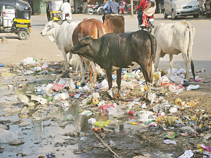 Garbage on the street will not be stopped, what to do now? Chhatrapati Sambhajinagar Municipality administration clueless! | रस्त्यावर येणारा कचरा बंद होईना, आता काय करावे? मनपा प्रशासनाचे डोकेच चालेना! Garbage on the street will not be stopped, what to do now? Chhatrapati Sambhajinagar Municipality administration clueless! | रस्त्यावर येणारा कचरा बंद होईना, आता काय करावे? मनपा प्रशासनाचे डोकेच चालेना!