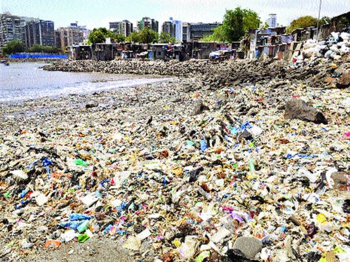 'Network of problems'; Pollution Board's apology before the Green Arbitration | पालिकाच उभारतेय अडचणींचे ‘जाळे’; हरित लवादासमोर प्रदूषण मंडळाचा माफीनामा 'Network of problems'; Pollution Board's apology before the Green Arbitration | पालिकाच उभारतेय अडचणींचे ‘जाळे’; हरित लवादासमोर प्रदूषण मंडळाचा माफीनामा