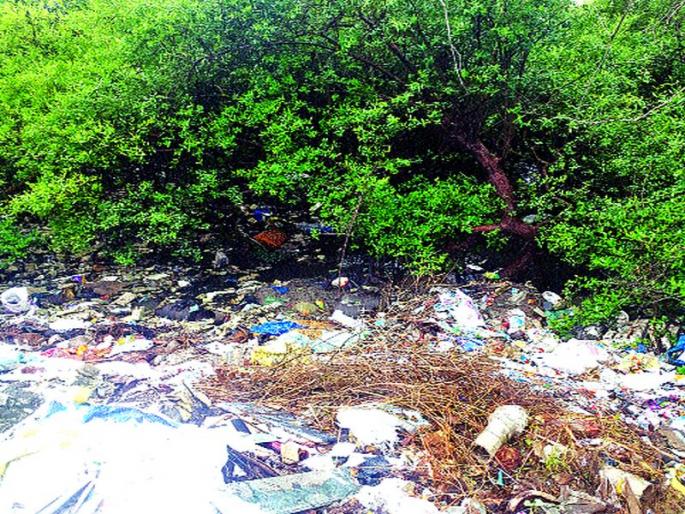 Kandlavana receives the trash | कांदळवनांना कचऱ्याचे ग्रहण Kandlavana receives the trash | कांदळवनांना कचऱ्याचे ग्रहण