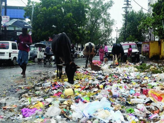 Garbage collection halted in half the city in Nagpur | नागपुरात अर्ध्या शहरातील कचरा संकलन ठप्प Garbage collection halted in half the city in Nagpur | नागपुरात अर्ध्या शहरातील कचरा संकलन ठप्प
