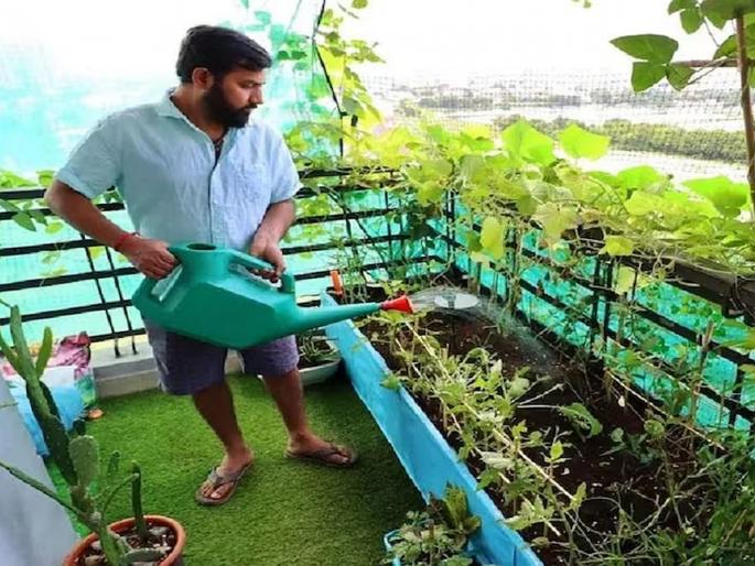 Urbanites also get a chance to earn bumper profits, with generous subsidies for terrace gardening | शहरी लोकांनाही बंपर नफा कमावण्याची संधी, टेरेसवरील बागायतीसाठी मिळतेय घसघशीत सब्सिडी Urbanites also get a chance to earn bumper profits, with generous subsidies for terrace gardening | शहरी लोकांनाही बंपर नफा कमावण्याची संधी, टेरेसवरील बागायतीसाठी मिळतेय घसघशीत सब्सिडी