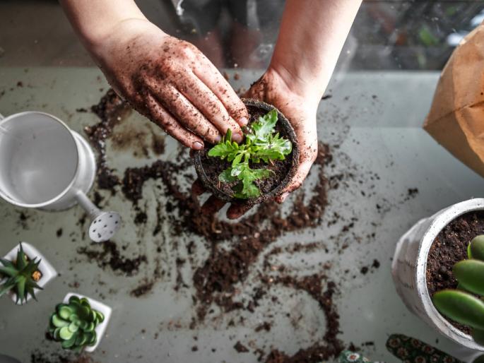 Gardening tips for the better growth of plants | कुंडीतल्या मातीला वाळवी लागली, झाडं सुकून चालली? खराब झाली म्हणून माती फेकू नका, 'हे' उपाय करा..