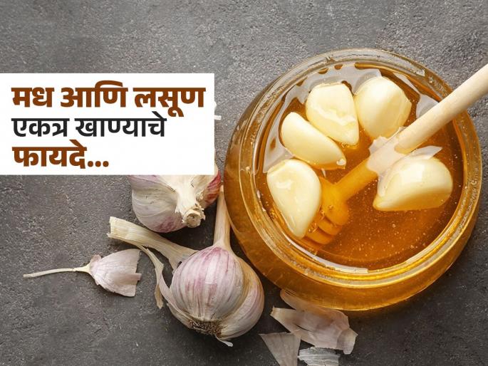 Ayurved doctor tells eat garlic and honey on an empty stomach and how to eat it | कच्चा लसूण आणि मध एकत्र करुन खाण्याचे ५ फायदे, तज्ज्ञांनी सांगितला अनोखा उपाय