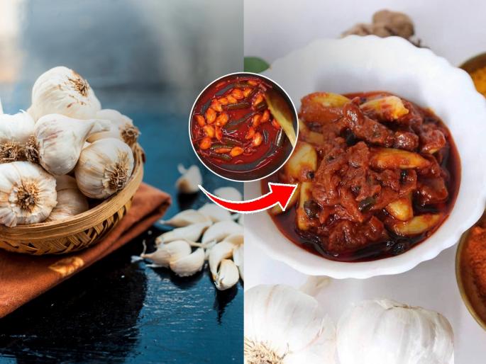 Traditional pickle recipe: Easy recipe for garlic pickle, this spicy pickle is must try | Traditional pickle recipe : लसूण लोणचे करण्याची सोपी रेसिपी, झणझणीत लोणचे आणि वरणभात म्हणजे सुख !!