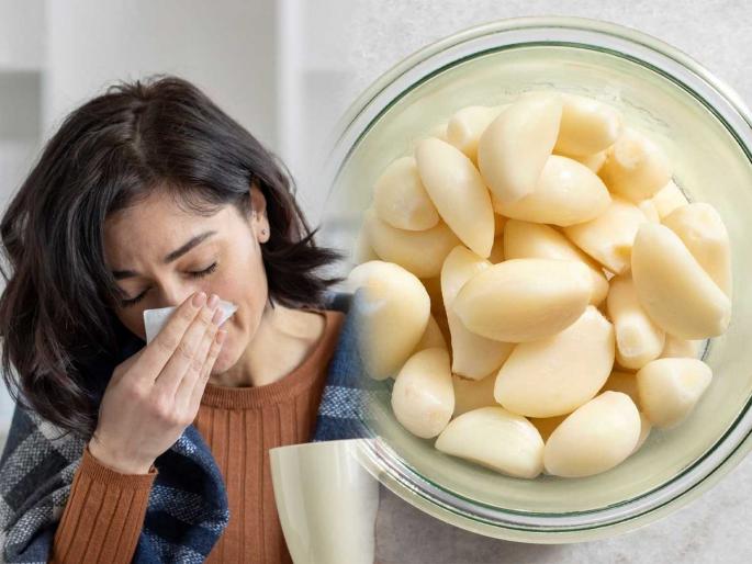 Not getting rid of cold and cough? garlic is very useful, see what to do | सर्दी-खोकला बराच होत नाही? स्वयंपाकघराला औषधी लसूण फार कामाचा, पाहा काय करायचा उपाय Not getting rid of cold and cough? garlic is very useful, see what to do | सर्दी-खोकला बराच होत नाही? स्वयंपाकघराला औषधी लसूण फार कामाचा, पाहा काय करायचा उपाय