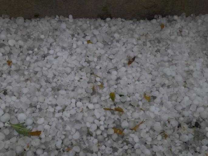 Need for scientific study of hailstorm : Dr. JeevanPrakash Kulkarni; forecast 4 days before possible | गारपिटीच्या शास्त्रोक्त अभ्यासाची गरज : डॉ. जीवनप्रकाश कुलकर्णी; ४ दिवस आधी अंदाज शक्य Need for scientific study of hailstorm : Dr. JeevanPrakash Kulkarni; forecast 4 days before possible | गारपिटीच्या शास्त्रोक्त अभ्यासाची गरज : डॉ. जीवनप्रकाश कुलकर्णी; ४ दिवस आधी अंदाज शक्य