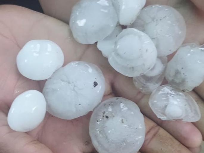 Hailstorm hits Akola district | अकोला जिल्ह्याला वादळासह गारपीटचा तडाखा Hailstorm hits Akola district | अकोला जिल्ह्याला वादळासह गारपीटचा तडाखा