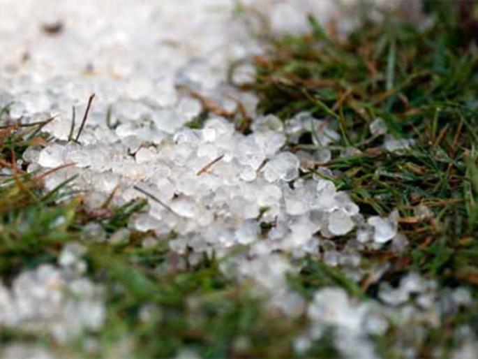 Hailstorm in Maharashtra including Vidarbha; Heavy rain warning; Orange alert in Nagpur, Chandrapur, Gadchiroli | विदर्भासह महाराष्ट्रात गारपीट; अतिवृष्टीचा इशारा; नागपूर, चंद्रपूर, गडचिरोलीत ऑरेंज अलर्ट Hailstorm in Maharashtra including Vidarbha; Heavy rain warning; Orange alert in Nagpur, Chandrapur, Gadchiroli | विदर्भासह महाराष्ट्रात गारपीट; अतिवृष्टीचा इशारा; नागपूर, चंद्रपूर, गडचिरोलीत ऑरेंज अलर्ट