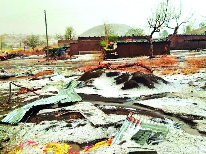 Hail again in Washim district; Extreme loss of horticultural crops including crops | वाशिम जिल्हय़ात पुन्हा गारपीट; पिकांसह फळबागांचे अतोनात नुकसान  Hail again in Washim district; Extreme loss of horticultural crops including crops | वाशिम जिल्हय़ात पुन्हा गारपीट; पिकांसह फळबागांचे अतोनात नुकसान