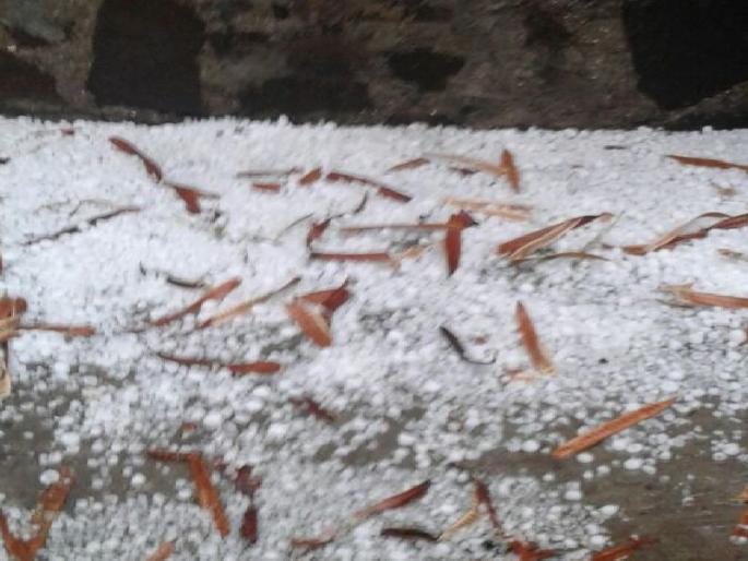 Marathwada and Vidharbha hit the hailstorm, one killed | मराठवाडा आणि विदर्भाला गारपिटीचा फटका, दोघांचा मृत्यू Marathwada and Vidharbha hit the hailstorm, one killed | मराठवाडा आणि विदर्भाला गारपिटीचा फटका, दोघांचा मृत्यू